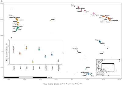 Ecological and environmental predictors of juvenile coral density across the central and western Pacific